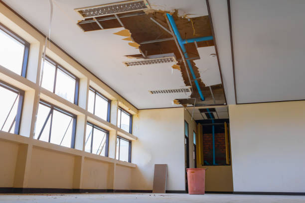 Best Water damage cleanup near me  in Garrett, IN