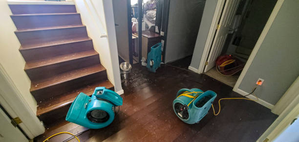 Best Commercial water damage restoration  in Garrett, IN