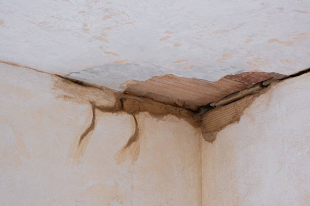 Reliable Garrett, IN Water damage restoration Solutions