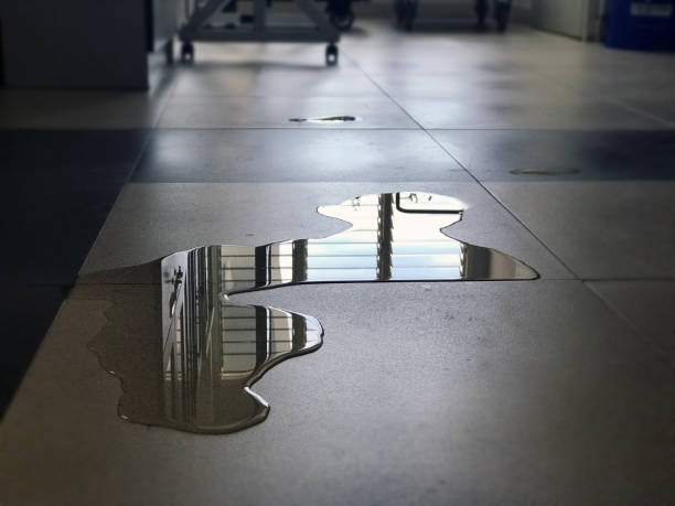 Best Local water damage restoration  in Garrett, IN