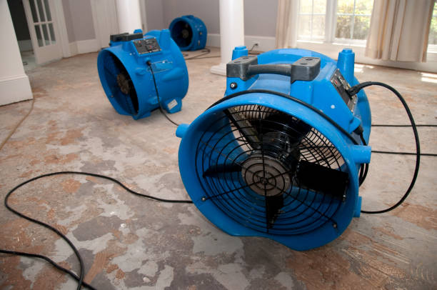 Best 24-hour water damage restoration  in Garrett, IN