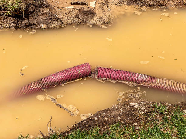 Best Water damage restoration near me  in Garrett, IN