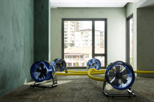 Best Emergency water damage restoration  in Garrett, IN