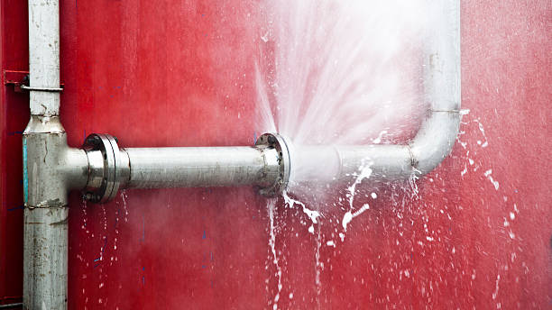 Best 24/7 water damage repair  in Garrett, IN